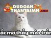 Mơ thấy mèo trắng – Điềm báo mơ thấy mèo trắng đánh con gì?
