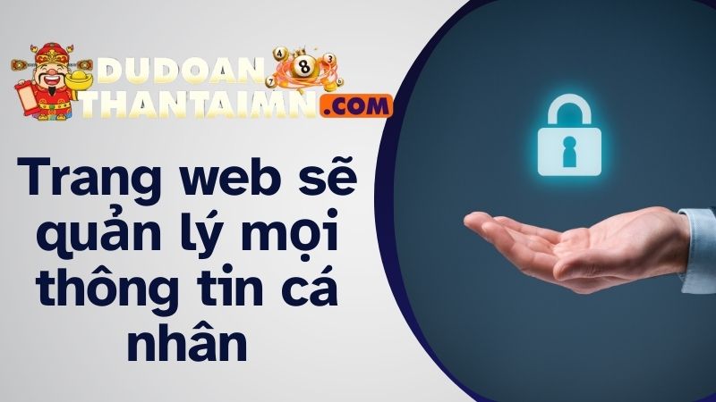 Trang web sẽ quản lý mọi thông tin cá nhân người dùng