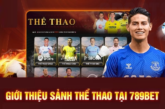 Thể Thao – Thể Loại Giải Trí Hút Khách Bậc Nhất 789bet