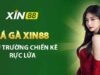 Đá Gà Xin88 – Sân chơi cá cược hấp dẫn cho mọi kê thủ