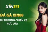Đá Gà Xin88 – Sân chơi cá cược hấp dẫn cho mọi kê thủ