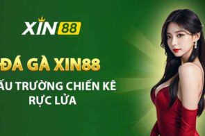 Đá Gà Xin88 – Sân chơi cá cược hấp dẫn cho mọi kê thủ